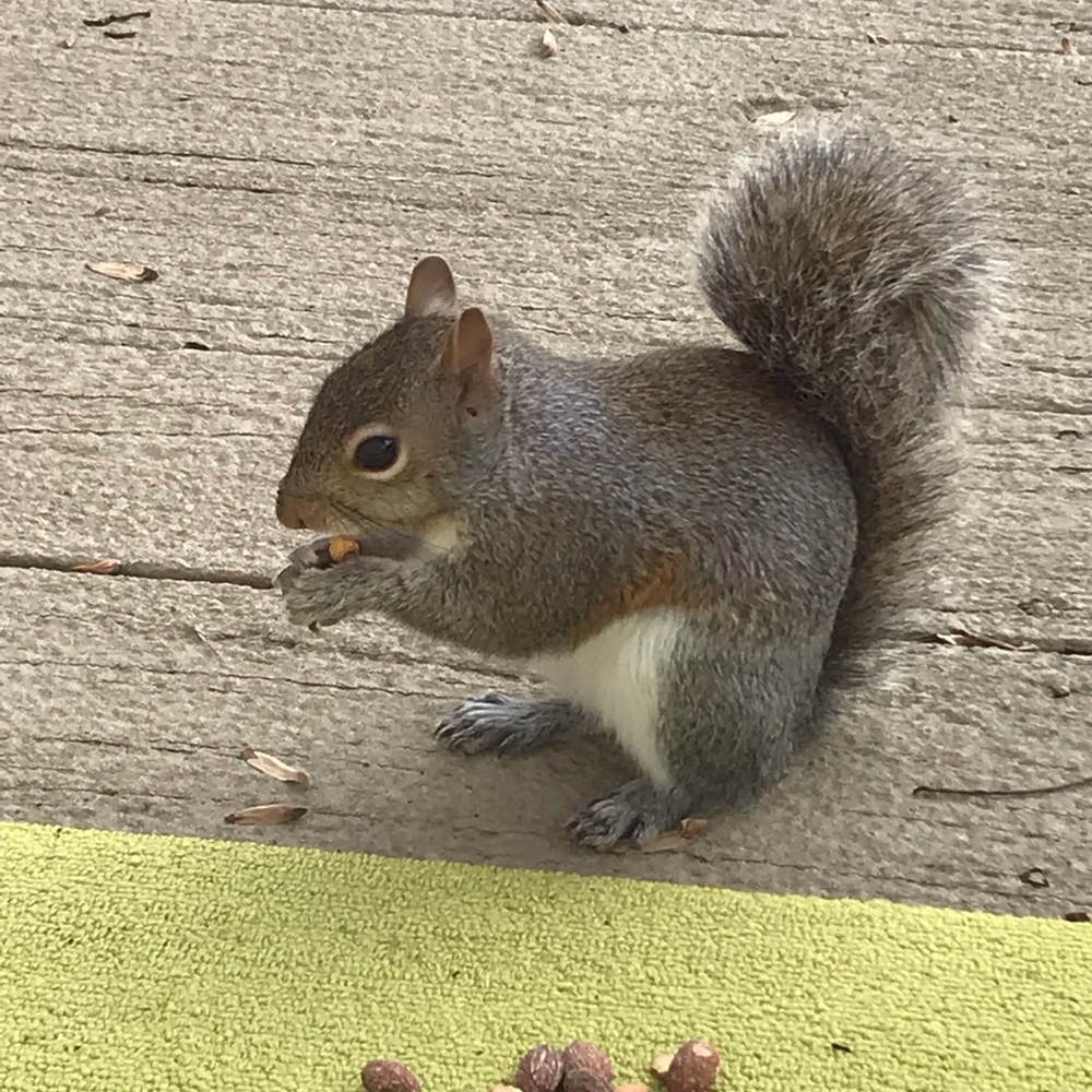 Meet your Posher, Christine